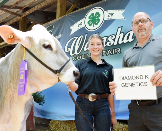 Ashley Mellgren of the Gillford Golden Gophers with a representative of buyer Diamond K Genetics.